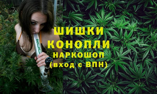 прущие грибы Куйбышев