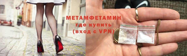 прущие грибы Куйбышев
