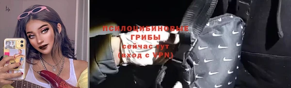 прущие грибы Куйбышев