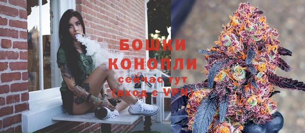 МДПВ Костерёво