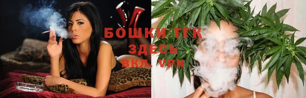 прущие грибы Куйбышев