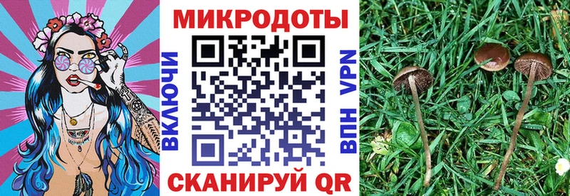 Галлюциногенные грибы Psilocybe  KRAKEN сайт  Красный Сулин  магазин продажи наркотиков 
